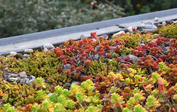 the cost of Gestingthorpe green roof installation
