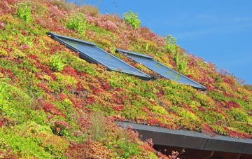 Gestingthorpe living roof systems