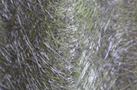 Gestingthorpe fibreglass roof work